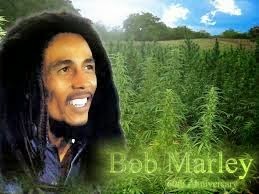 El rey del reggae, Bob Marley, tendrá su propia marca de marihuana!!!