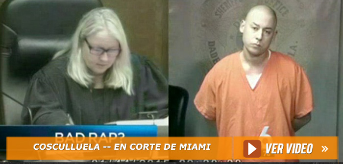 Cosculluela aparece en Corte de Fianza de Miami (Video)